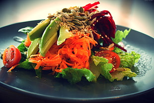 salad meal