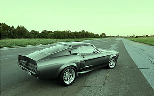 gray Ford Mustang coupe, car