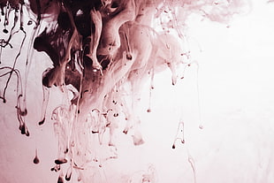 white and brown digital wallpaper