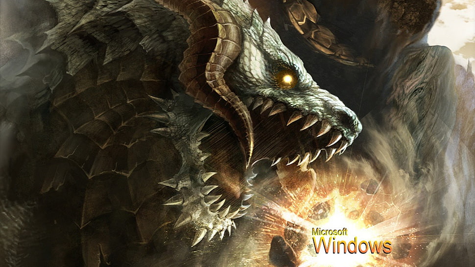 Microsoft Windows digital wallpaper, RPG, dragon HD wallpaper