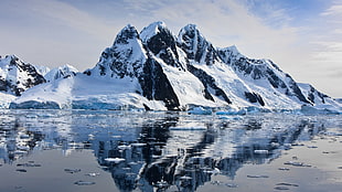 white and black mountain, mountains, Arctic, nature, sea HD wallpaper
