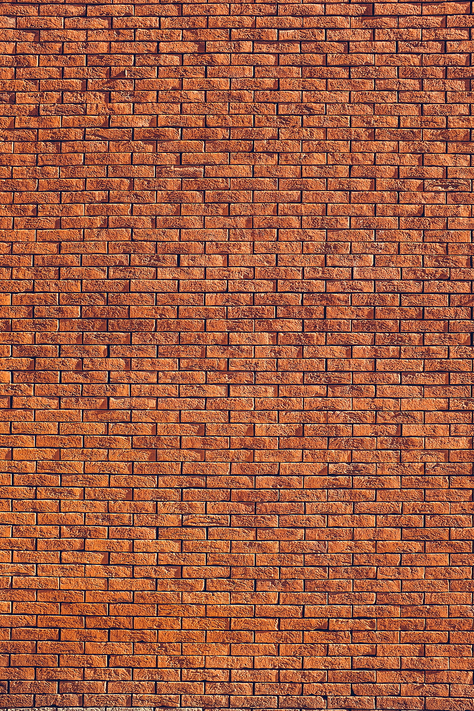 brown and black area rug HD wallpaper
