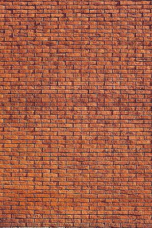 brown and black area rug HD wallpaper