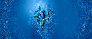 blue octopus illustration, octopus, blue, paint in water, painting HD wallpaper