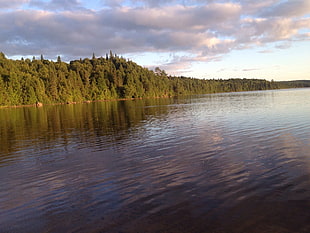 green tree, lake, landscape, Canada HD wallpaper