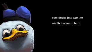 duck plush toy with text overlay, Donald, Dolan, typography, bad grammar HD wallpaper