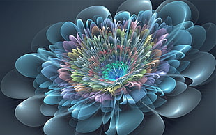 flower vector illustration HD wallpaper