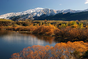 river with trees near mountain range covered in snow during daytime, lake hayes