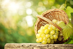 green grapes in brown wicker basket
