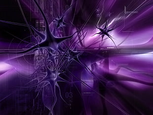 purple and white digital wallpaper, abstract