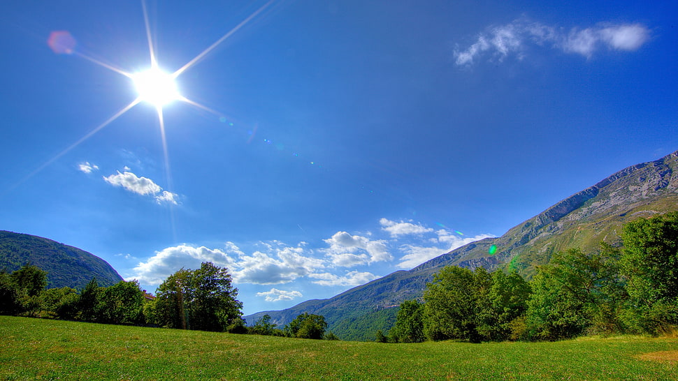 green grass field under blue and white sky during daytime HD wallpaper