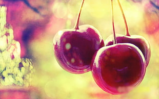 closeup photo of three cherry fruits