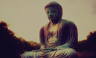 Buddha statue, Buddha HD wallpaper