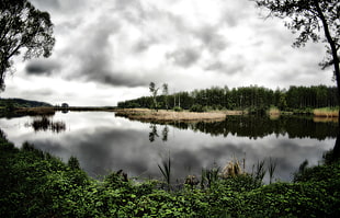 landscape photography of lake surrounded by trees