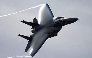 gray fighter jet, Fly, military, airplane, F-15 Eagle