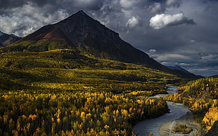 landscape photo of green and yellow mountain