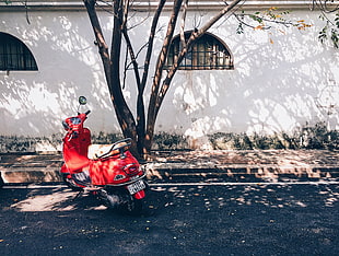 photo of red motor scooter under tree