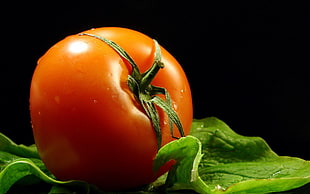 red tomato with black background