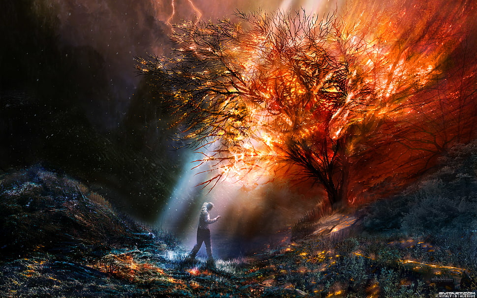 illustration of man standing in front of tree, fantasy art, artwork, trees, landscape HD wallpaper