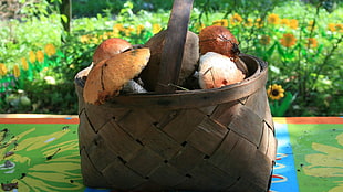 mush room in brown wicker basket