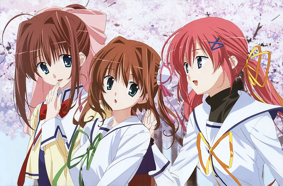 three female anime character digital wallpaper HD wallpaper