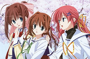three female anime character digital wallpaper