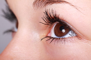 selective focus photography of woman's brown pupil