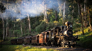 black and brown steam locomotive train, landscape, train, railway, nature HD wallpaper