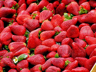 strawberry fruit lot