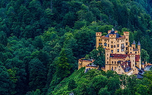 white and blue castle, city, castle, Hohenschwangau, Schloss Hohenschwangau