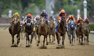 selective focus photography horse racing