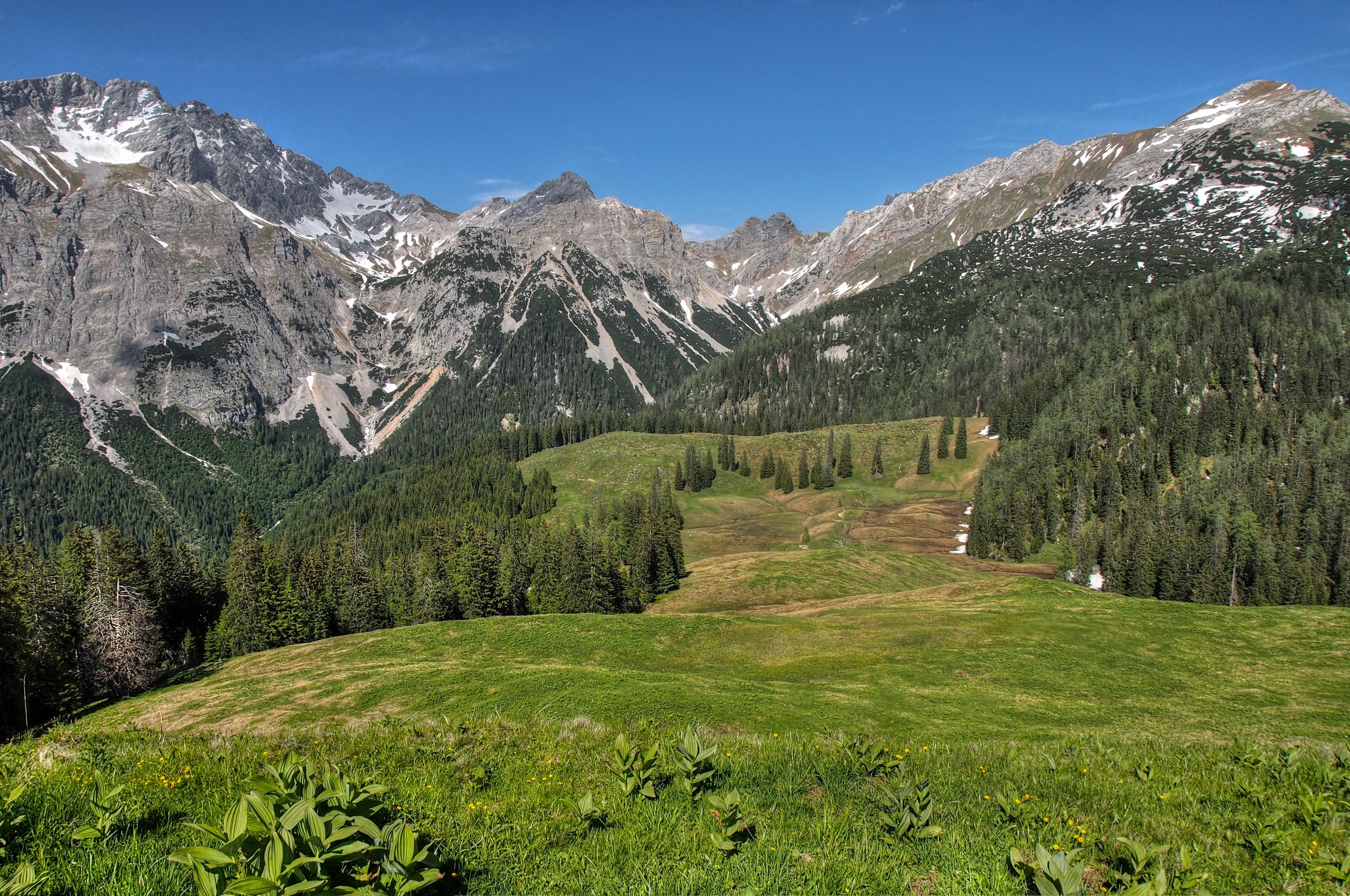 Горные холмы. Архыз Альпийские Луга. Трансильвания Альпы. Горный ландшафт. Долина в горах.