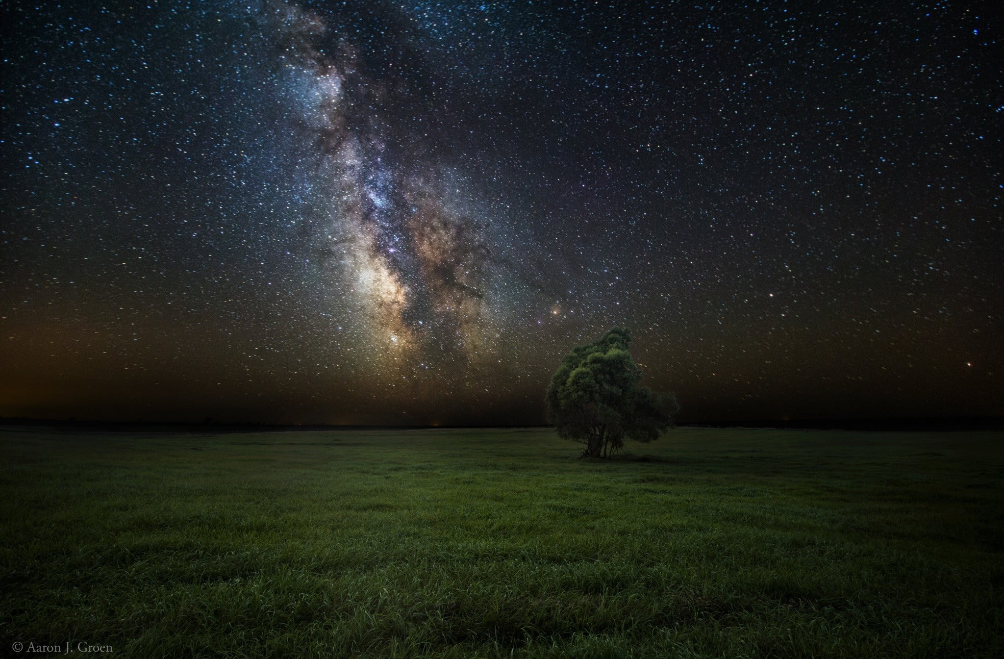 grass field at night