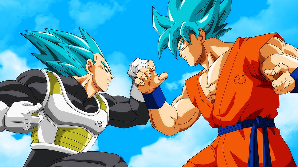 Super Saiyan Blue Son Goku and Vegetta HD wallpaper
