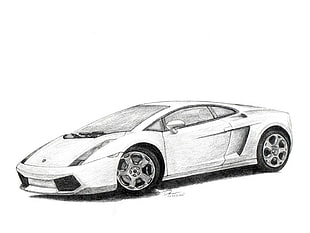 white Lamborghini sports coupe sketch
