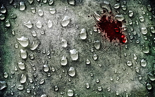 water dews and blood on wall wallpaper HD wallpaper