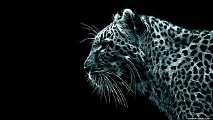 jaguar illustration, animals