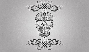 black sugar skull illustration HD wallpaper