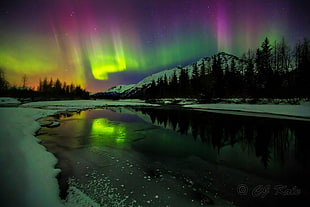 aurora borealis, aurorae HD wallpaper