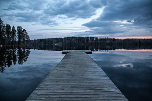 landscape photography of trees near the lake and brown wooden dock during daytime