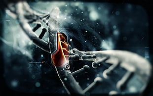 gray DNA illustration