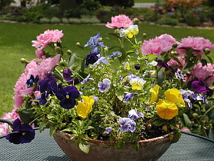 assorted color petaled flower centerpiece