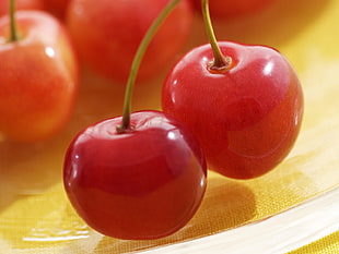 red Cherry fruit in close up photography HD wallpaper