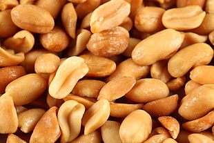 brown nuts