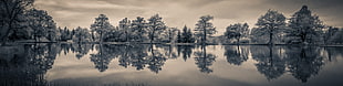reflection photography of trees under gray sky