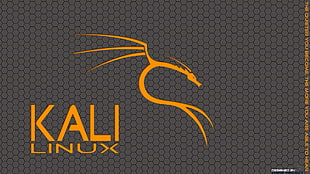 Kali Linux logo, Linux, Kali Linux NetHunter, Kali Linux HD wallpaper