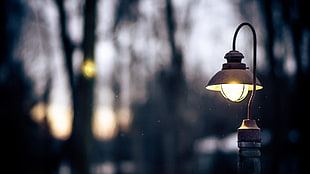 shallow focus photography of black and brass street lantern