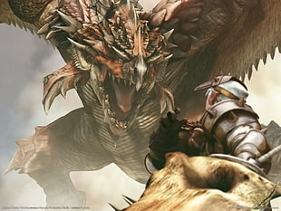 brown dragon and cavalier wallpaper, Monster Hunter, dragon, Rathalos
