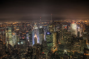 aerial photo of New York city