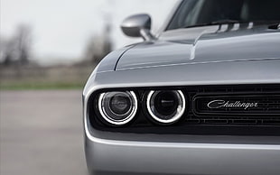 black and gray Challenger vehicle, car, Dodge, Dodge Challenger, vehicle front